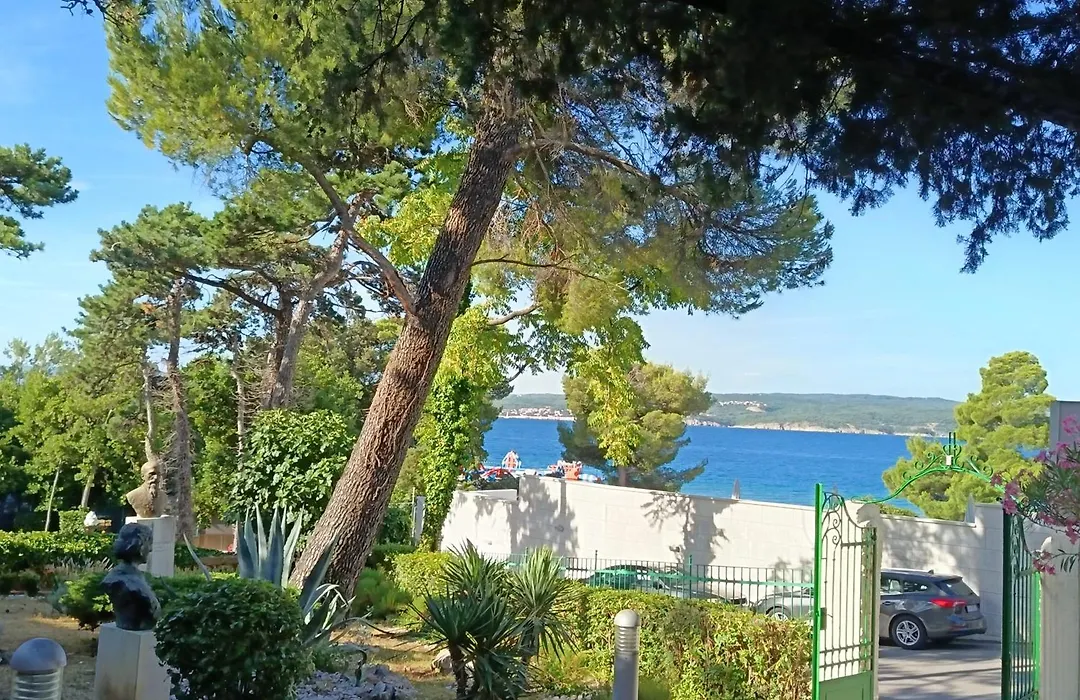 Hotel Vila Ruzica- Glavna Zgrada I Depandanse-1