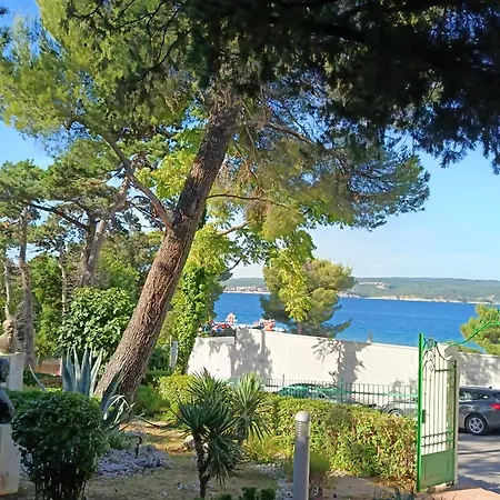 Hotel Vila Ruzica- Glavna Zgrada I Depandanse-3